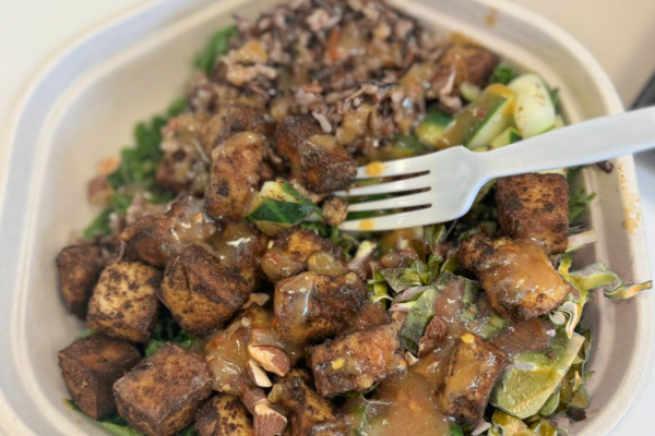 Plant-based meal bowl representing food resources